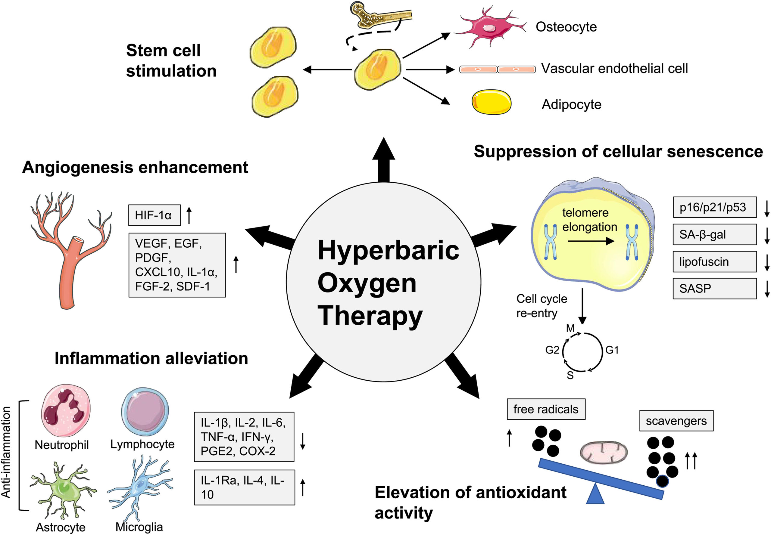 Oxigenoterapia hiperbárica