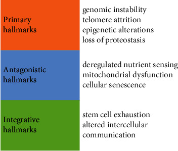 Hallmarks of Aging