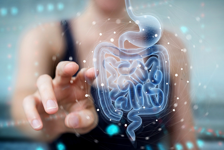 Cómo la terapia con luz roja apoya el microbioma intestinal