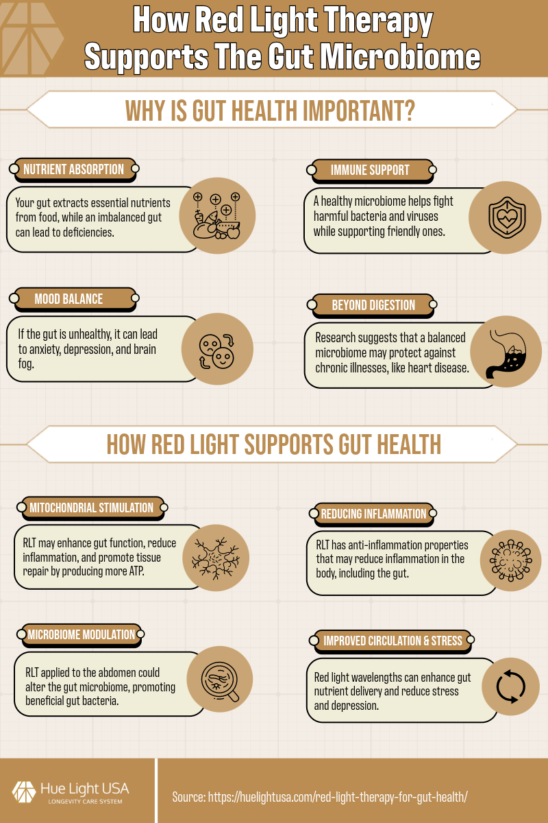 El impacto de la terapia con luz roja en la salud del microbioma intestinal